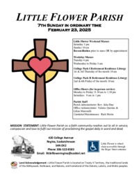 7th Sunday in Ordinary Time - C 