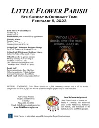Ordinary Time 5th Sunday - A