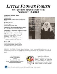 Ordinary Time 6th Sunday - A